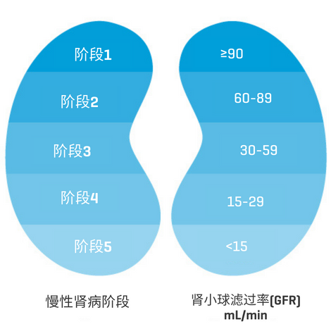 5 Stages of CKD in Chinese
