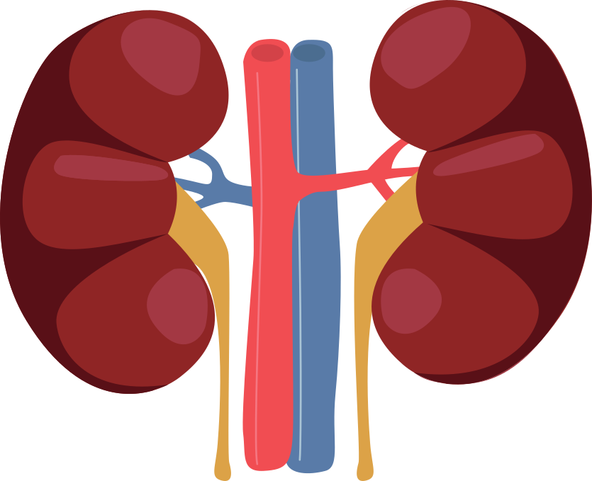 causes of chronic kidney disease