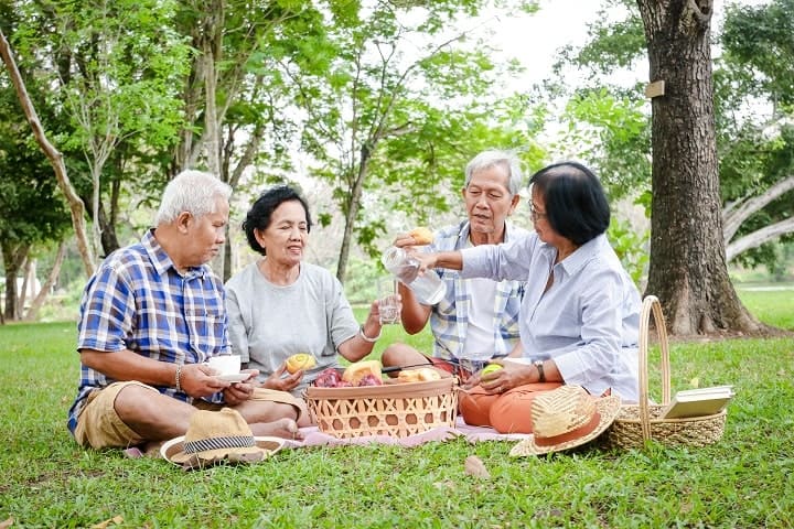 Elderly talking about dialysis in a park while having picnic