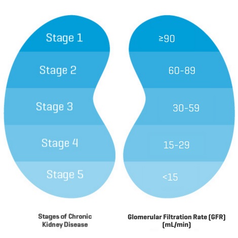 5 Stages of CKD